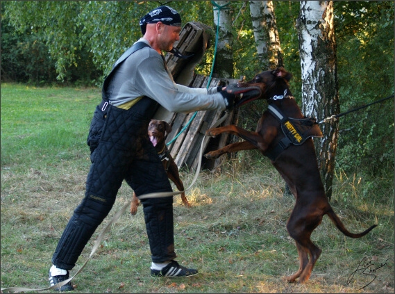 Summer training camp - Jelenec - 2007